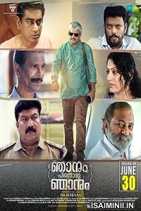 Njanum Pinnoru Njanum (2023) Malayalam Movie